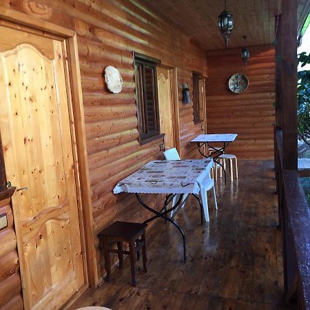 Guest House Nana Гагра Екстер'єр фото