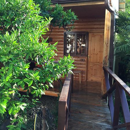 Guest House Nana Гагра Екстер'єр фото
