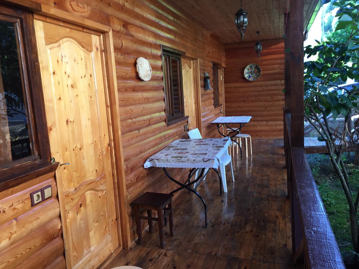 Guest House Nana Гагра Екстер'єр фото