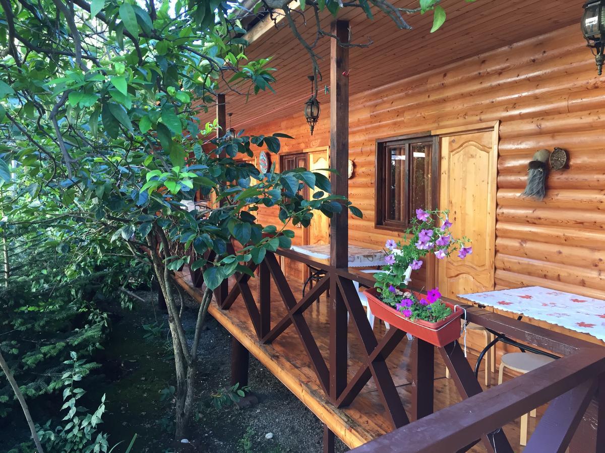 Guest House Nana Гагра Екстер'єр фото