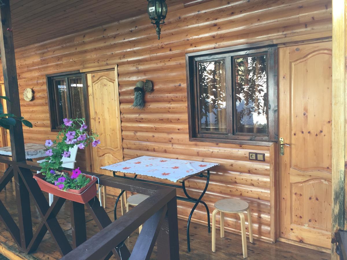 Guest House Nana Гагра Екстер'єр фото
