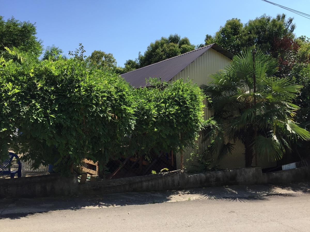 Guest House Nana Гагра Екстер'єр фото