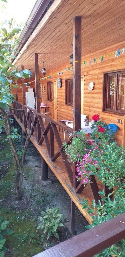 Guest House Nana Гагра Екстер'єр фото